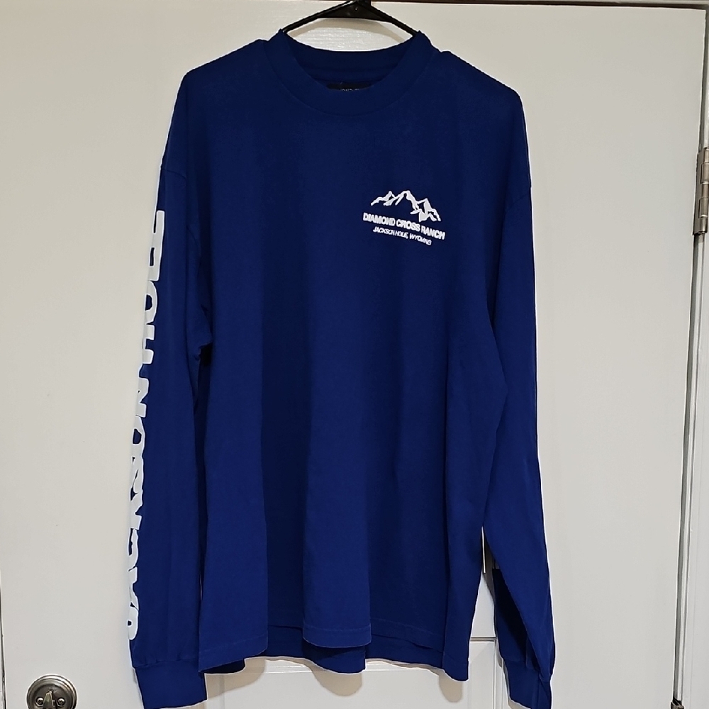 Free People Blue Long Sleeve Tee with Outdoor Graphic